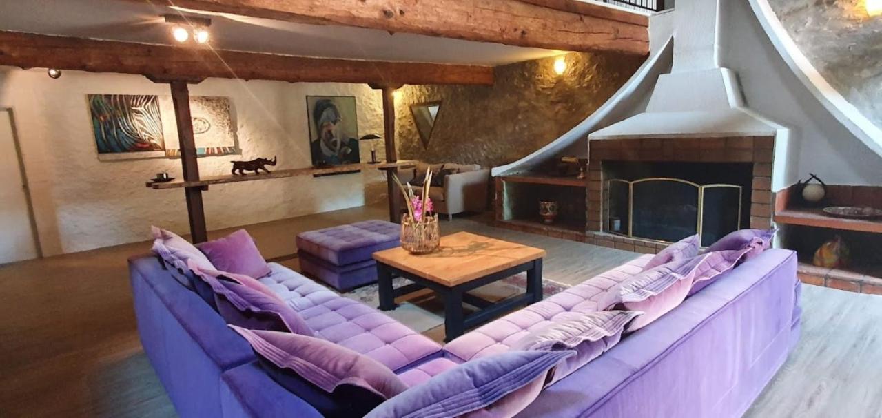 Gite De 420 Metres Carres Dans Chateau L'Ange Au Violon Jusqu'A 13 Couchages Conques-sur-Orbiel Exteriér fotografie