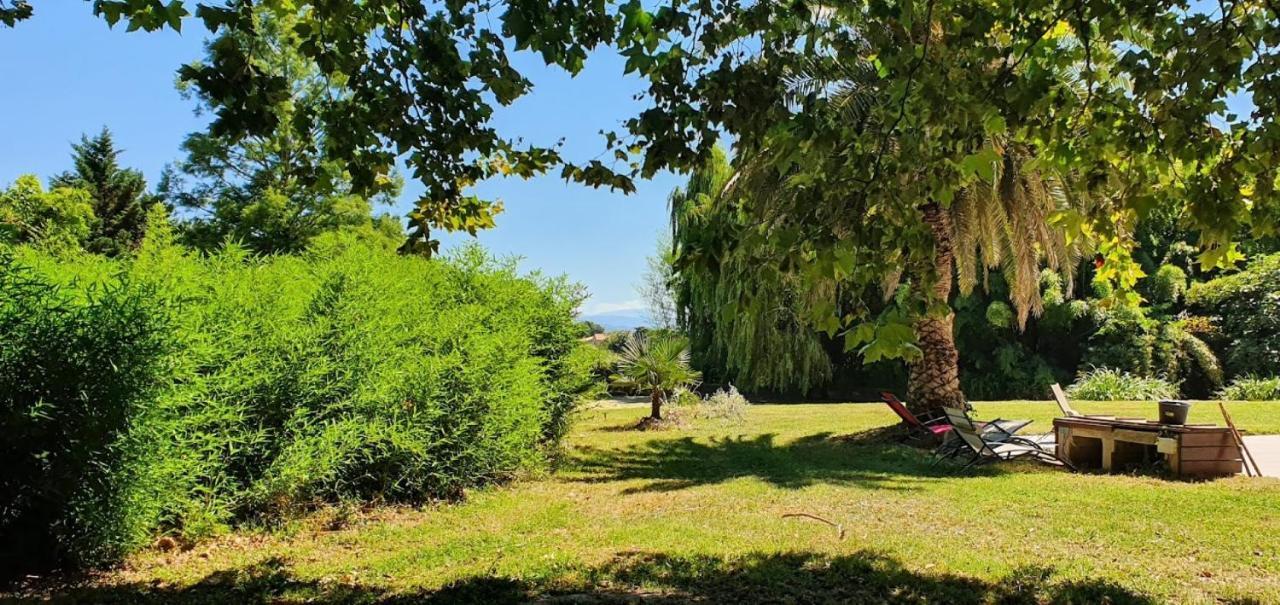 Gite De 420 Metres Carres Dans Chateau L'Ange Au Violon Jusqu'A 13 Couchages Conques-sur-Orbiel Exteriér fotografie